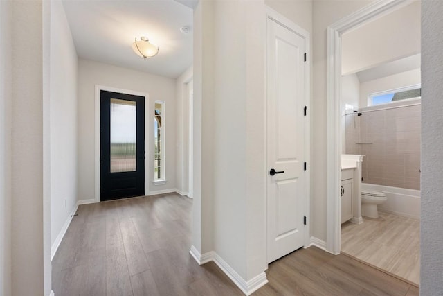 entrance foyer featuring light hardwood / wood-style floors