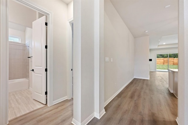 hallway with a wealth of natural light and light hardwood / wood-style flooring