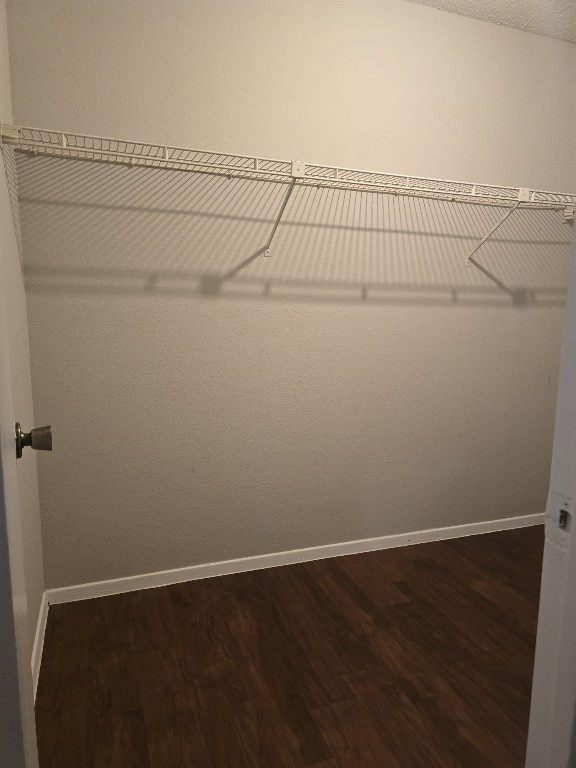 spacious closet with hardwood / wood-style flooring