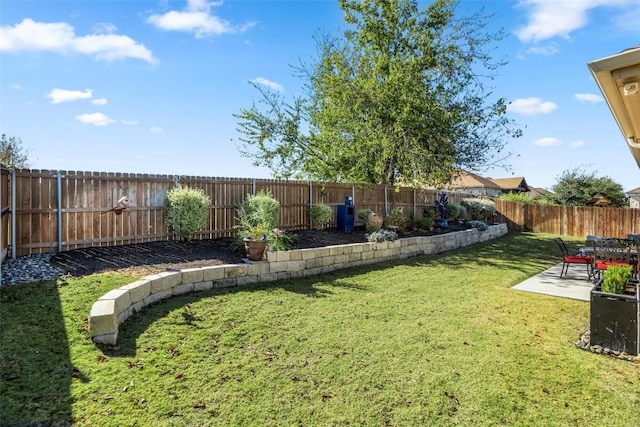 view of yard with a patio area