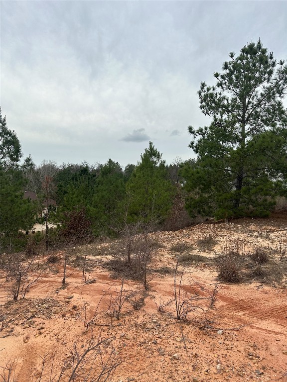 000 Tall Forest Dr, Bastrop TX, 78602 land for sale