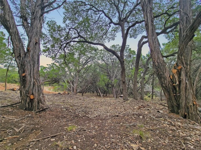 0000 Deede Rd, Lago Vista TX, 78645 land for sale