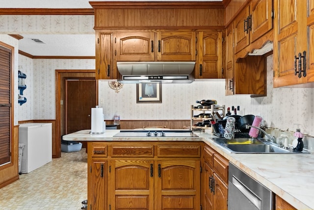 kitchen with black electric cooktop, sink, stainless steel dishwasher, range hood, and crown molding