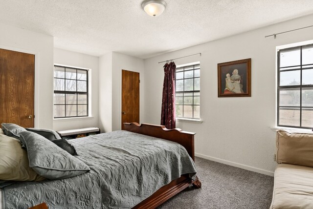 bedroom with multiple windows, a textured ceiling, and carpet floors