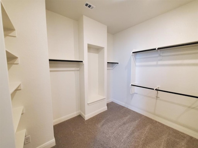 spacious closet with carpet