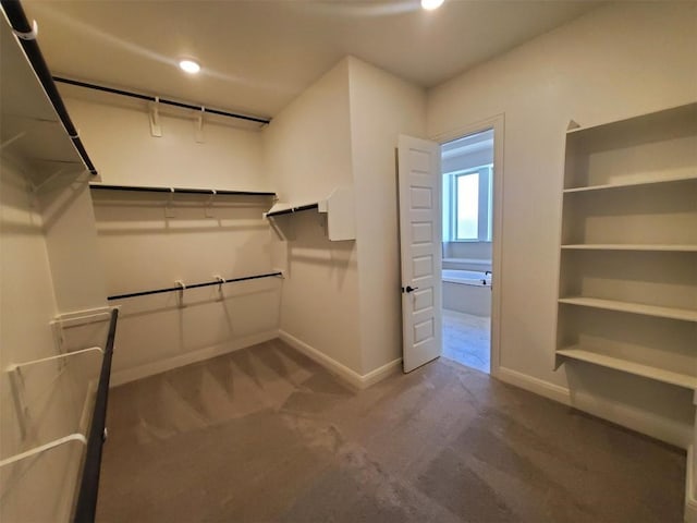 walk in closet with carpet floors