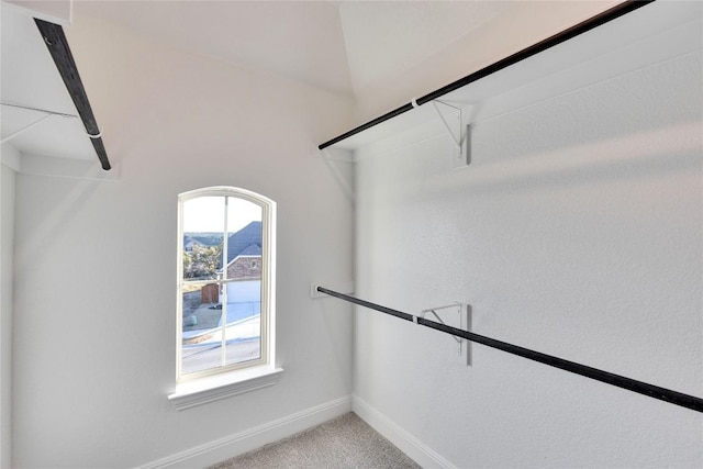 walk in closet with carpet floors