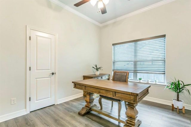 office with light hardwood / wood-style floors, ceiling fan, and crown molding