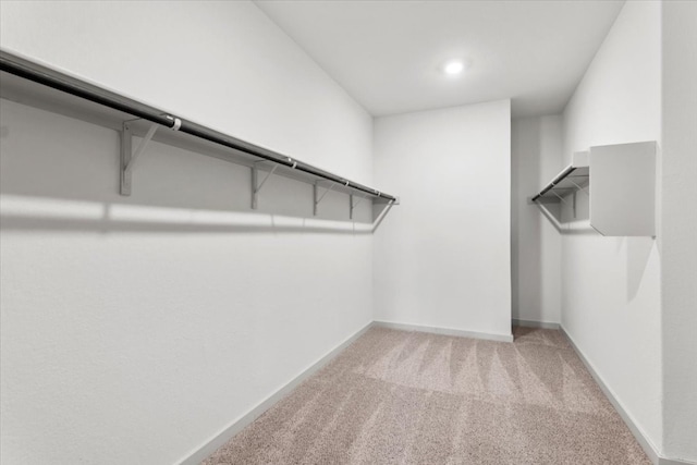 walk in closet with carpet flooring