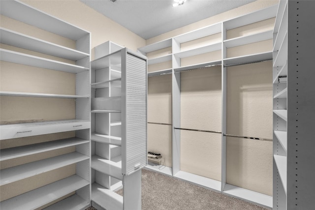 walk in closet featuring carpet floors