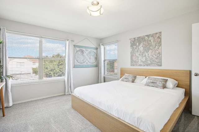 bedroom with carpet floors and multiple windows