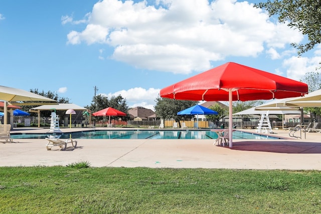 view of pool featuring a patio area and a lawn