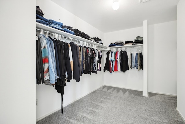 walk in closet with carpet flooring