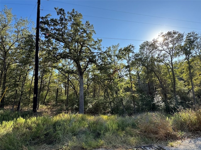 0000 Wailupe Cir, Bastrop TX, 78602 land for sale