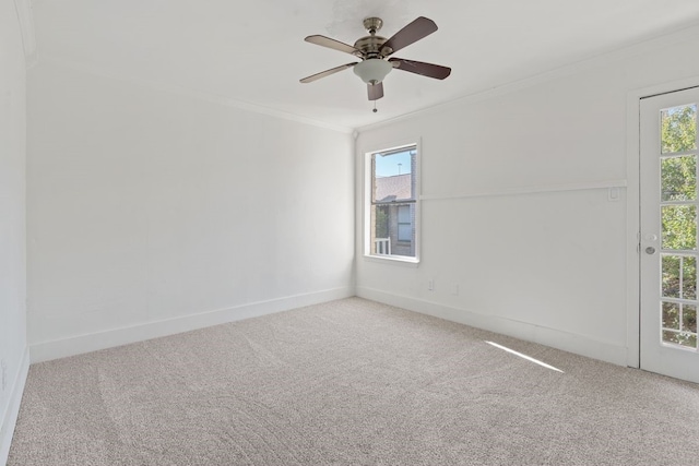 empty room featuring ceiling fan, crown molding, and carpet