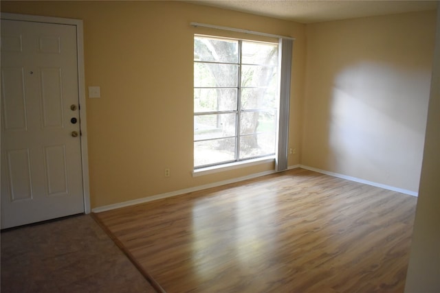 foyer with hardwood / wood-style floors