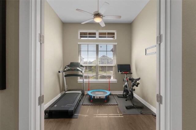 exercise area with wood-type flooring and ceiling fan