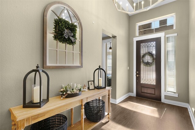 entrance foyer with dark wood-type flooring