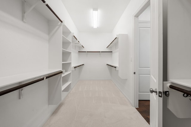 spacious closet with light carpet