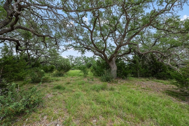 317 Crosswater Ln, Dripping Springs, TX 78620 - photo 9