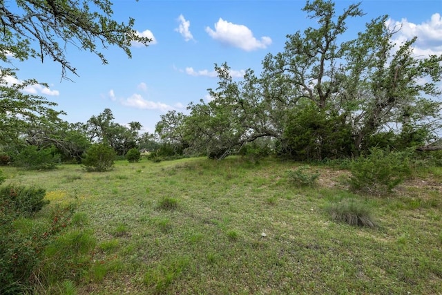 317 Crosswater Ln, Dripping Springs, TX 78620 - photo 10