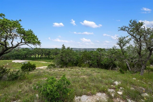 317 Crosswater Ln, Dripping Springs, TX 78620 - photo 8