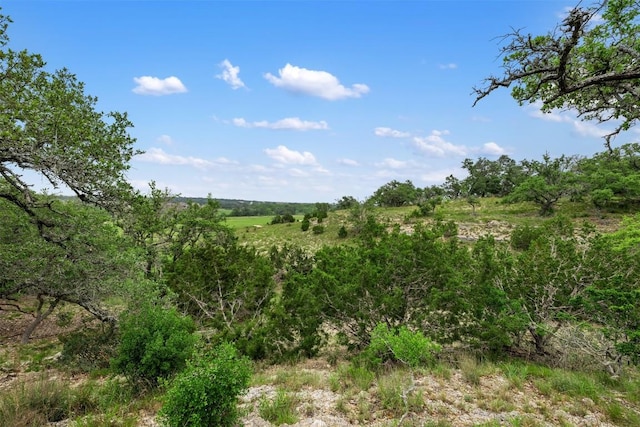 317 Crosswater Ln, Dripping Springs, TX 78620 - photo 11