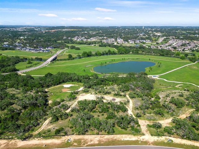 317 Crosswater Ln, Dripping Springs, TX 78620 - photo 4