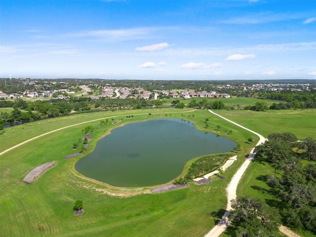 317 Crosswater Ln, Dripping Springs, TX 78620 - photo 7