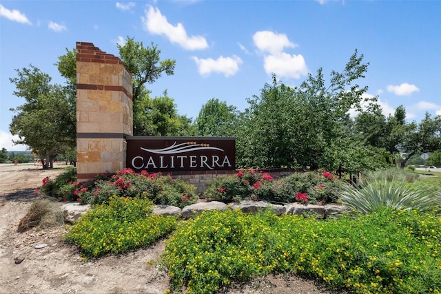 317 Crosswater Ln, Dripping Springs, TX 78620 - photo 14