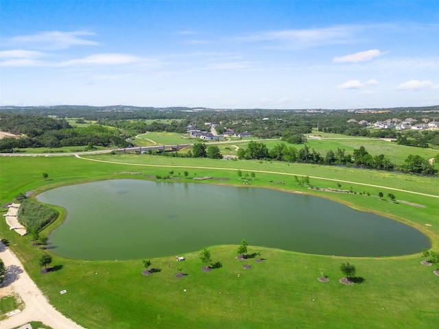 317 Crosswater Ln, Dripping Springs, TX 78620 - photo 16