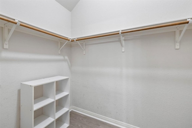 900 Laurel Cv, Buda, TX 78610 - walk in closet with wood finished floors
