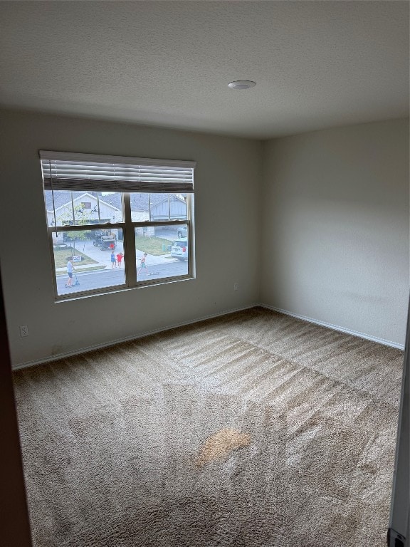 carpeted spare room with a wealth of natural light and a textured ceiling