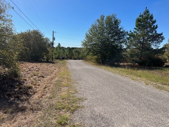 Listing photo 2 for TBD S Mockingbird Ln, Bastrop TX 78602