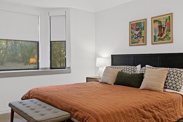 bedroom with carpet floors