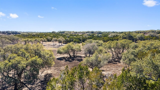 Listing photo 2 for 623 Whiskey Trl, Blanco TX 78606