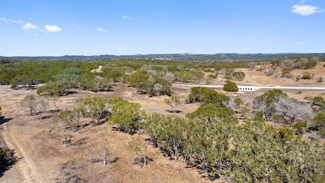 623 Whiskey Trl, Blanco TX, 78606 land for sale