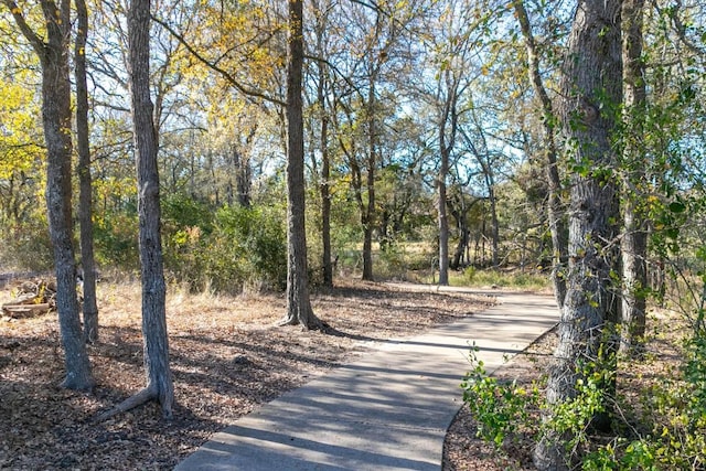 view of home's community