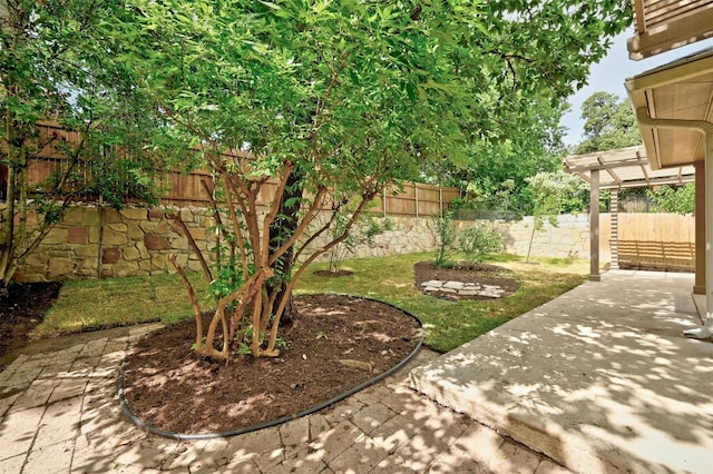 view of yard featuring a patio