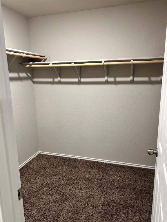 walk in closet with carpet flooring