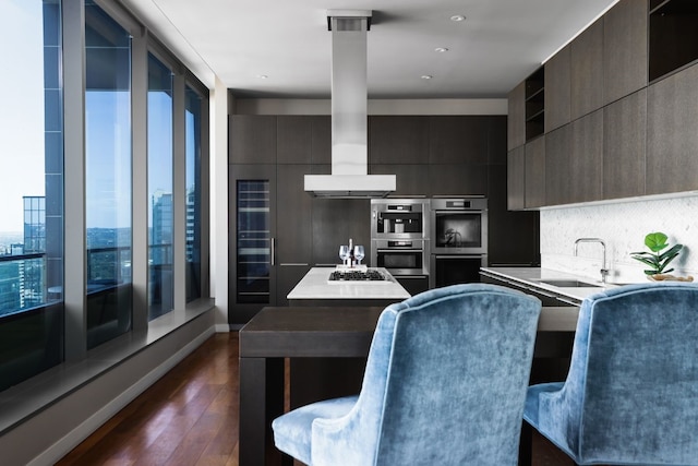 kitchen with sink, tasteful backsplash, dark hardwood / wood-style floors, appliances with stainless steel finishes, and range hood