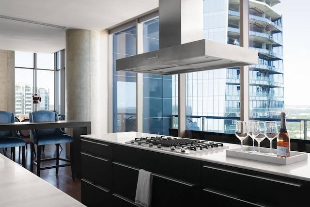 kitchen with ventilation hood, stainless steel gas cooktop, a healthy amount of sunlight, and dark hardwood / wood-style floors