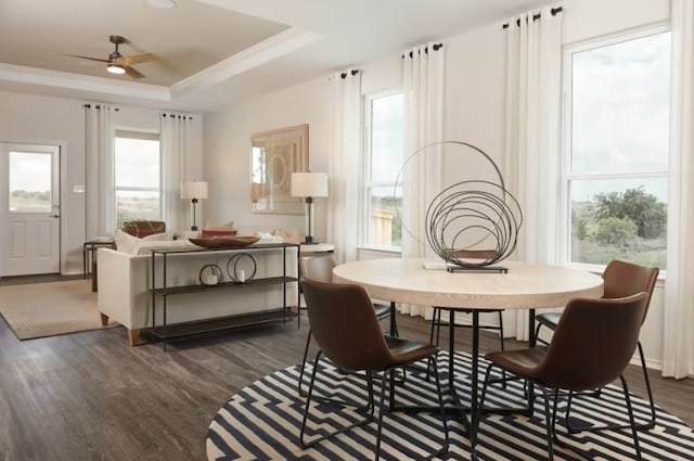 dining area featuring a wealth of natural light, dark hardwood / wood-style floors, and a raised ceiling