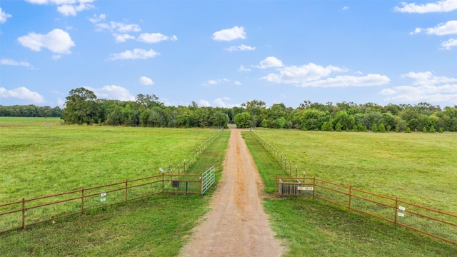 view of yard with a rural view