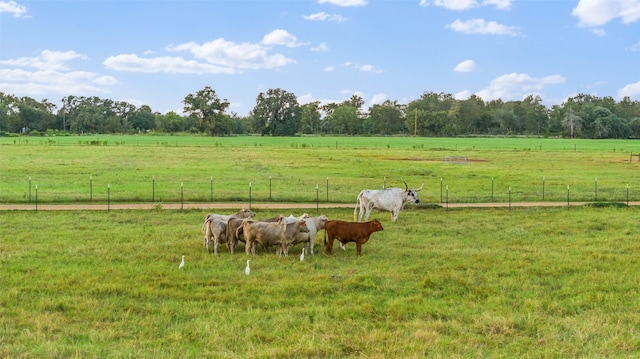 view of yard featuring a rural view