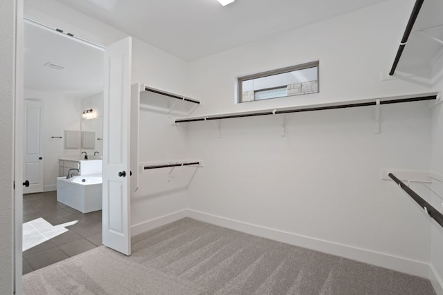 1515 Cardinal Ln, Round Rock, TX 78681 - spacious closet with carpet flooring and tile patterned flooring