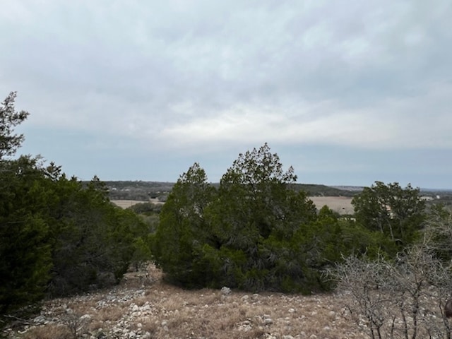 Listing photo 3 for 4238 E Fm 581, Lometa TX 76853