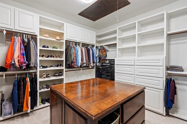 walk in closet with light colored carpet