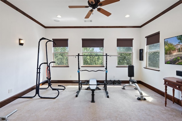 workout room with light carpet, a healthy amount of sunlight, and crown molding