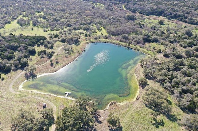 drone / aerial view featuring a water view and a wooded view